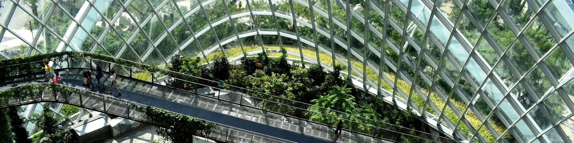 A huge glass atrium with lots of greenery