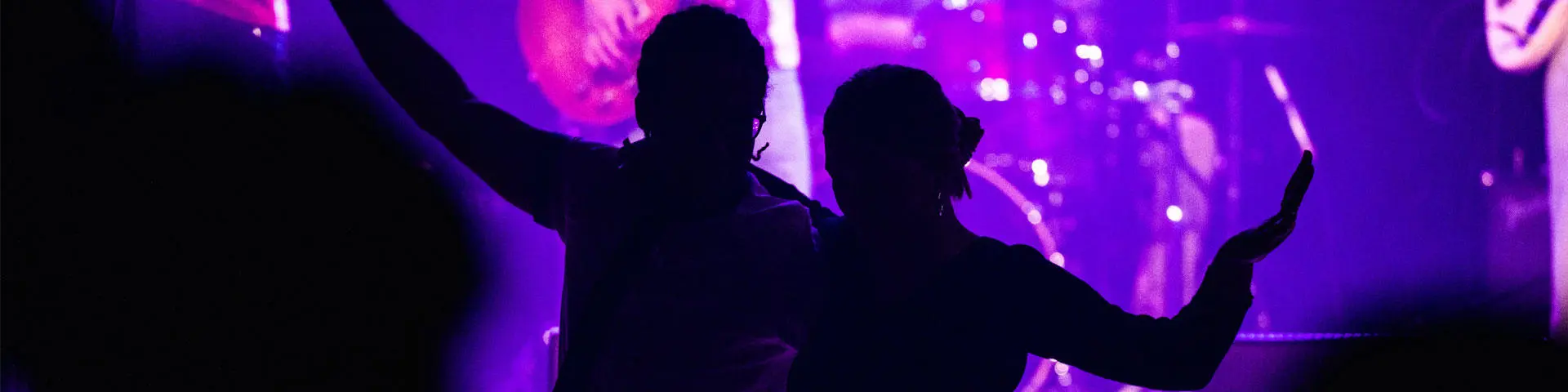 Silhouetted people at a music concert