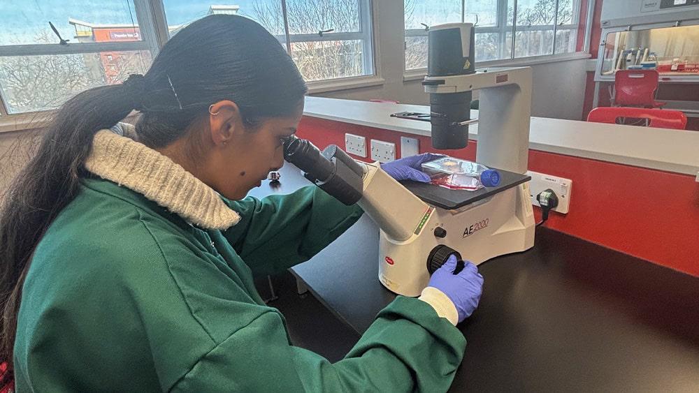 A biomedical science student looking through a microscope in the biomedical science laboratory. 