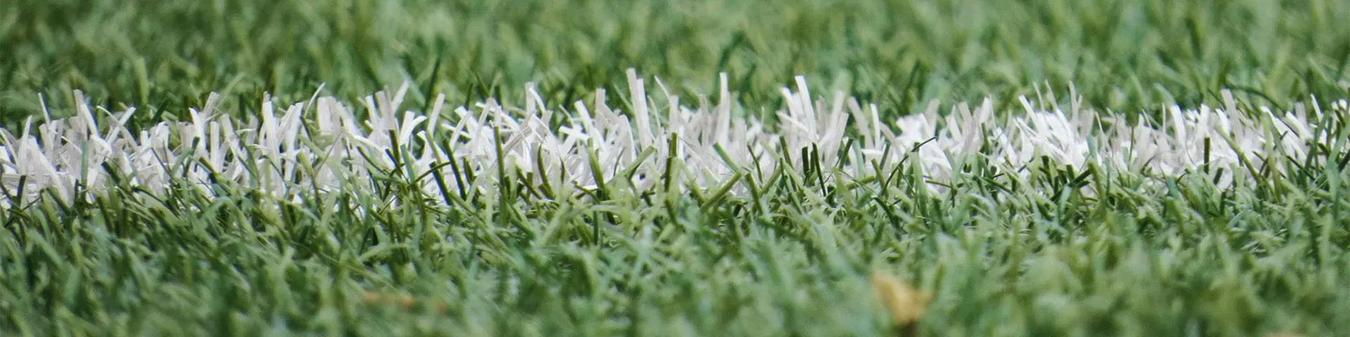 A white line spray-painted on a football pitch.