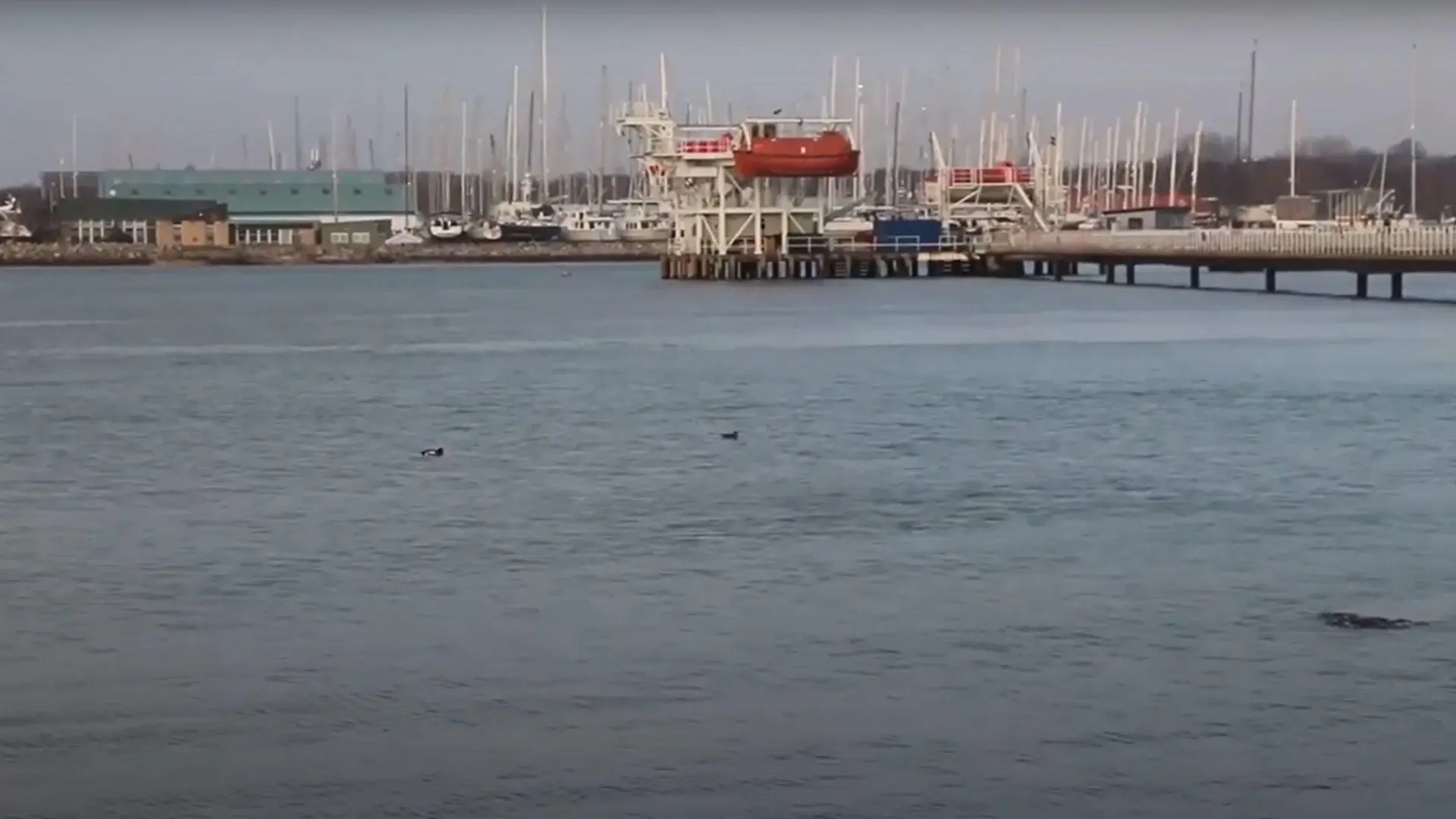 Screenshot showing the pierhead facility at Warsash Maritime School