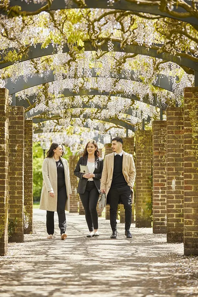 Three law students walking beneath a wisteria canopy